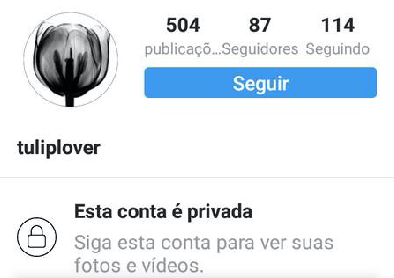 Sandy mantém perfil secreto no Instagram com 87 seguidores
