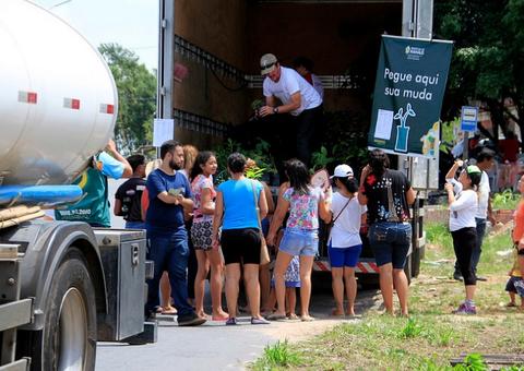 Prefeitura realiza distribuição de mudas em diversos pontos da cidade
