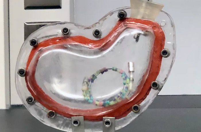 Pesquisadores desenvolvem colar de comprimidos para tratar tuberculose