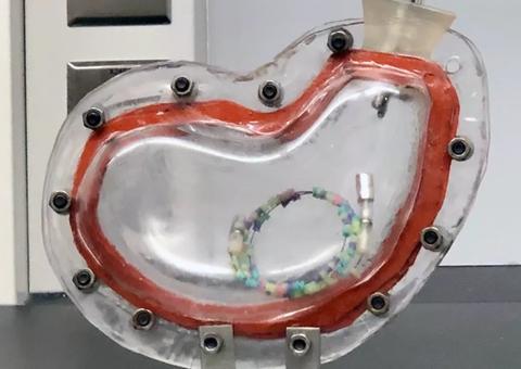 Pesquisadores desenvolvem colar de comprimidos para tratar tuberculose