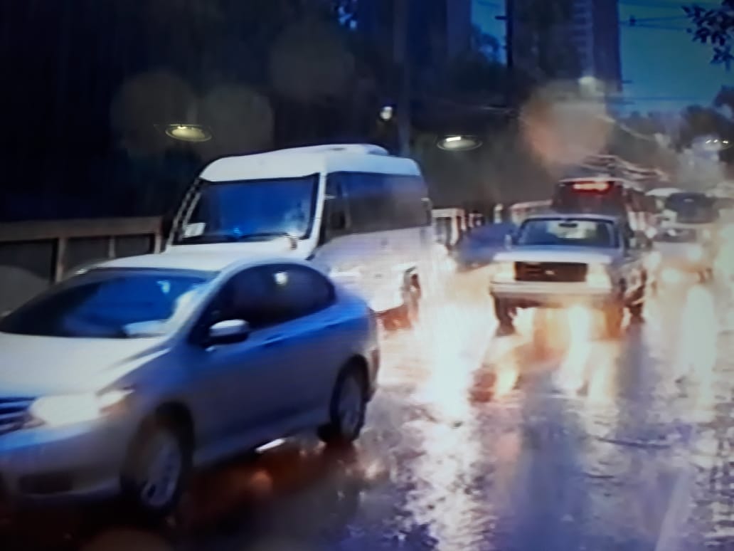 Árvore cai durante chuva e deixa trânsito caótico em avenida de Manaus