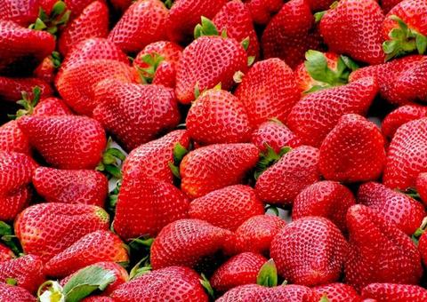 Morango combate a anemia; conheça mais benefícios 