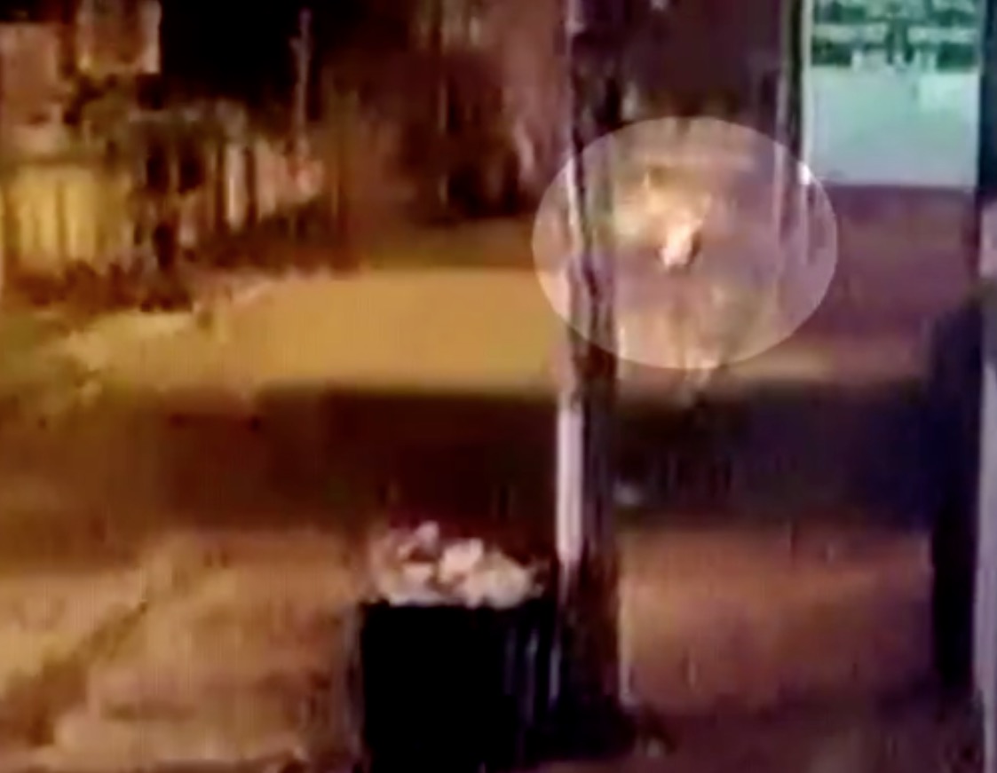 Vídeo pode ajudar polícia a identificar suspeito de abandonar recém-nascida em bolsa 