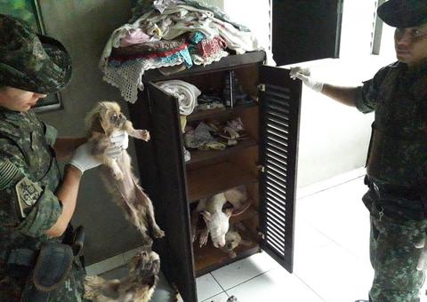 Mulher é multada em R$ 54 mil após maltratar 18 cães 