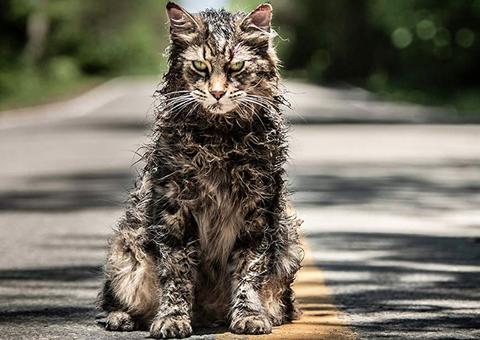 Cemitério Maldito ganha clipe inédito sinistro. Assista