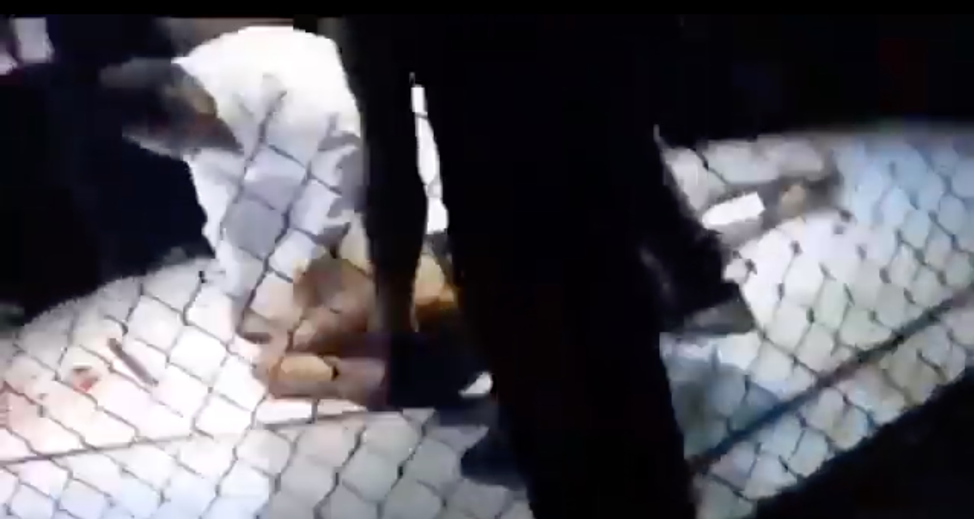 Lutador de MMA morre após ser nocauteado em evento em Manaus