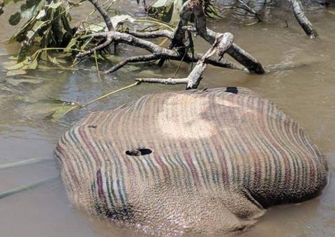 Enrolado em rede, corpo de homem é encontrado em decomposição no Amazonas