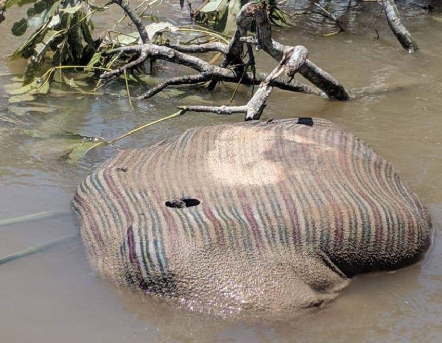 Enrolado em rede, corpo de homem é encontrado em decomposição no Amazonas