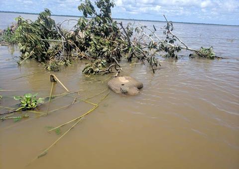 No Amazonas, homem encontrado enrolado em rede dentro de rio é identificado