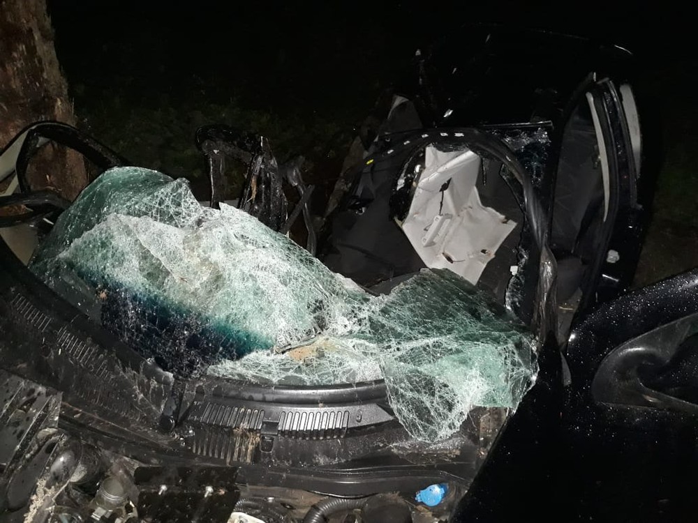 Guarda municipal morre após carro colidir em árvore na BR-174 