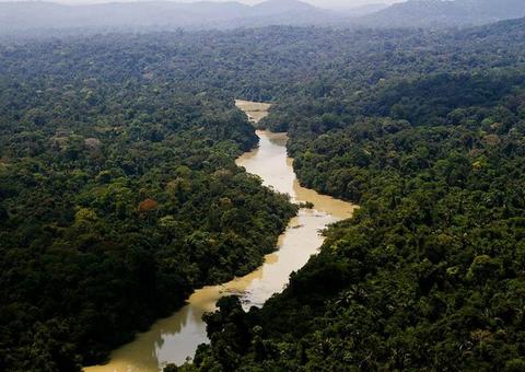 Funai faz contato com índios isolados no Amazonas