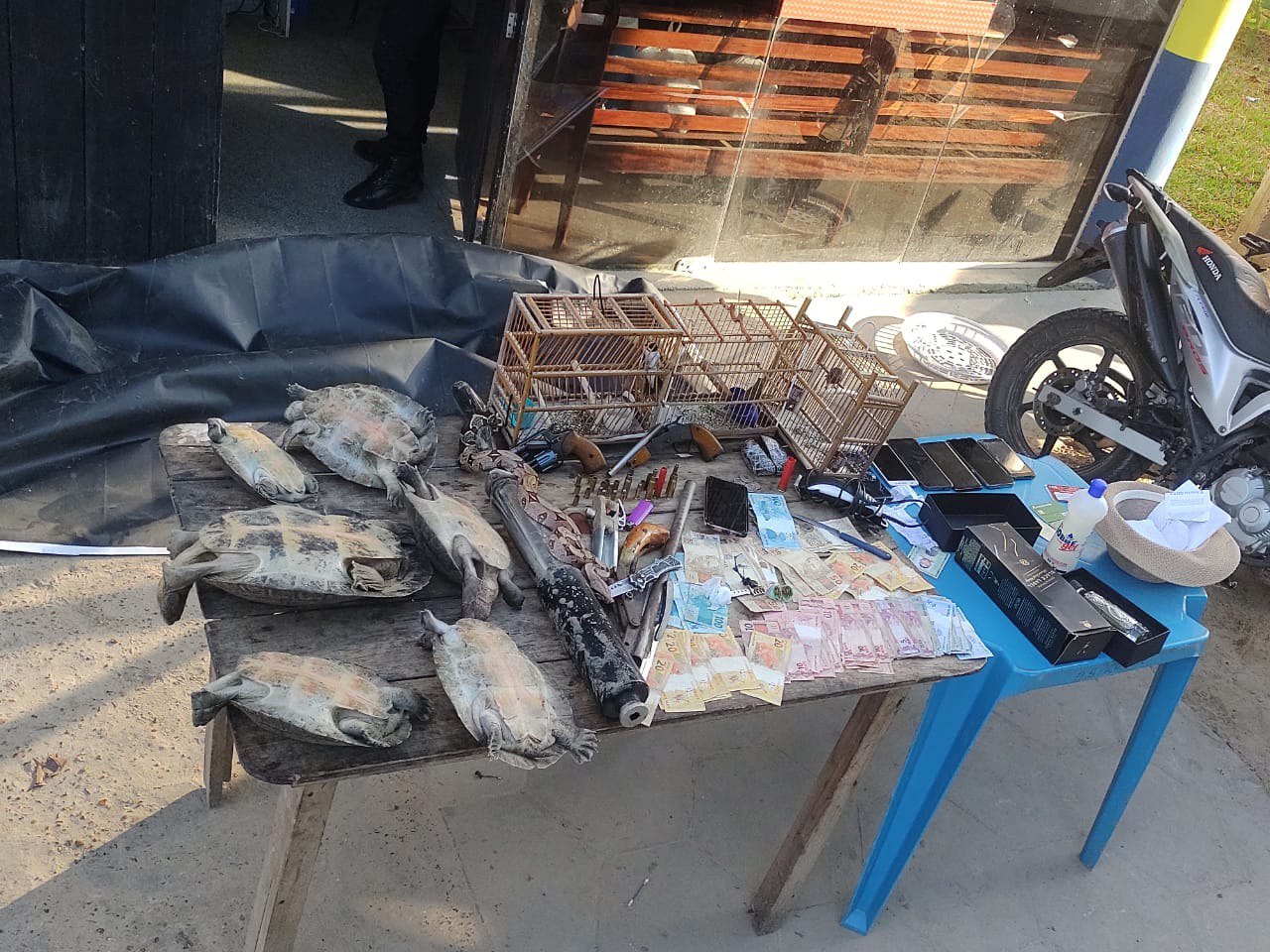 Criminosos são presos com drogas, armas e animais silvestres no Amazonas