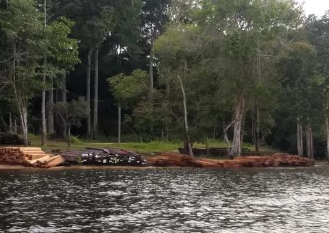 Ipaam aplica R$ 7,8 mil em multas no combate a extração ilegal de madeira 