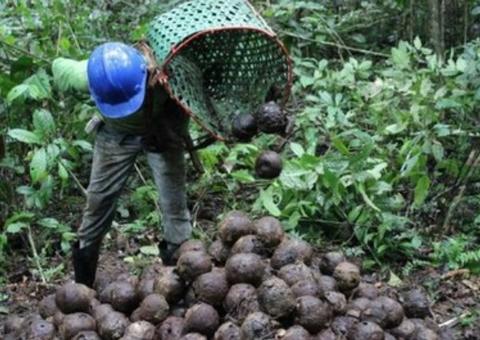 MPF expede recomendação para impedir ameaças a extrativistas de reserva no Amazonas