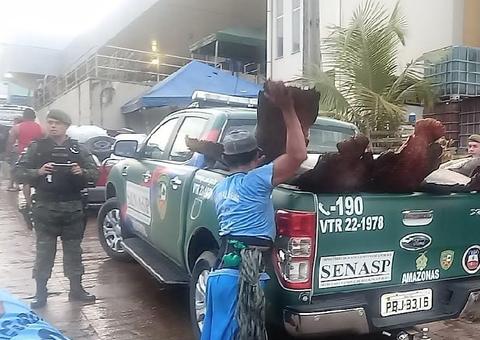 Polícia apreende 1,7 toneladas de pirarucu em frigorífico de Manaus