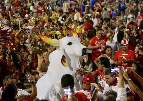 Balé folclórico, Amazonas Band e ensaio dos Bumbás entre eventos do final de semana em Manaus