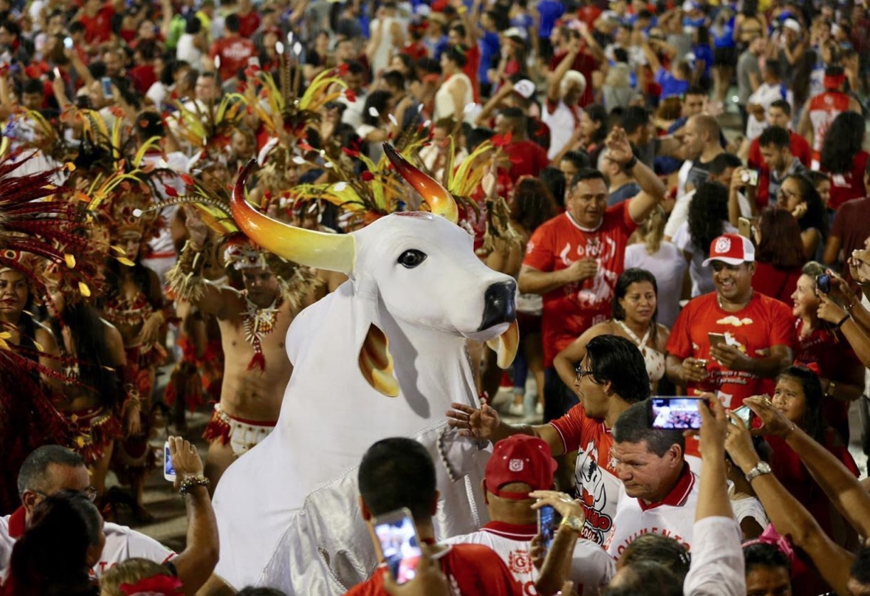 Balé folclórico, Amazonas Band e ensaio dos Bumbás entre eventos do final de semana em Manaus