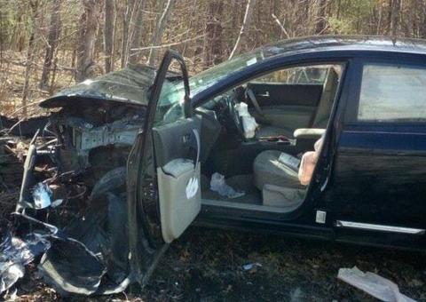 Mulher bate carro em árvore após se assustar com aranha