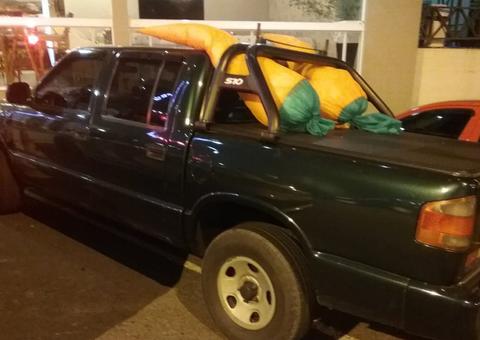 Homens furtam cenouras da decoração de páscoa em Santa Catarina