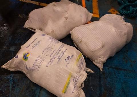 Mais de 200 quilos de pirarucu ilegal são apreendidos próximo a feira em Manaus 