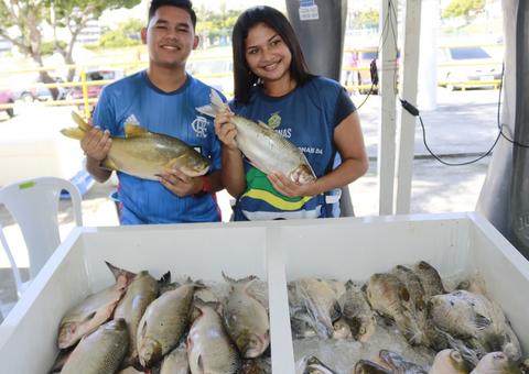 Feirão do Pescado oferece quatro pontos de vendas em Manaus