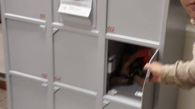 Criança de 3 anos fica presa em guarda-volume de agência bancária 
