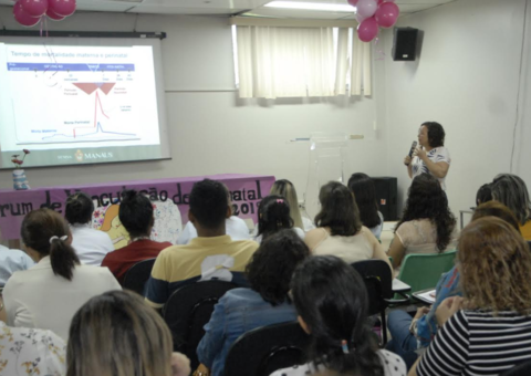 Profissionais de Saúde discutem integração dos serviços a gestantes e recém-nascidos   