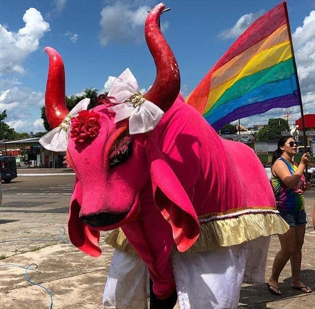 Festa do Boi Boiola ocorrerá no dia 28 no Amazonas 