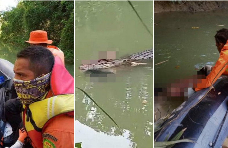 Homem é devorado por crocodilo assassino em rio perigoso
