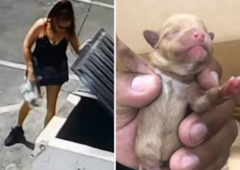 Mulher é filmada jogando filhotes de cachorro em lixeira