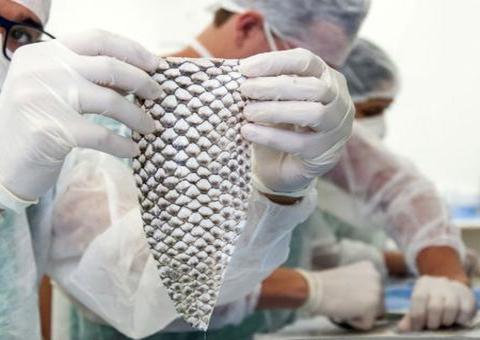 Cirurgia inédita usa pele de tilápia em reconstrução vaginal de mulher trans