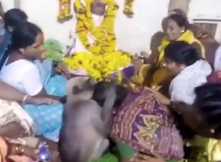 Imagem de macaco consolando mulher durante funeral viraliza 