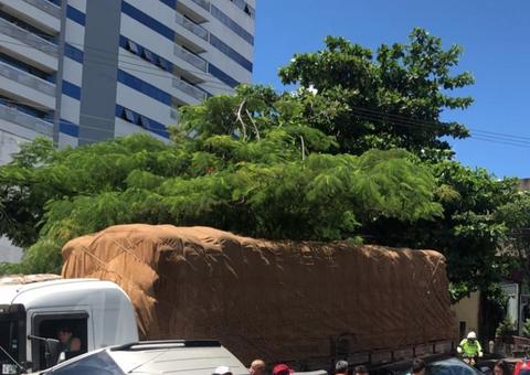 Caminhão desgovernado arrasta carros em avenida de Manaus