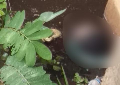 Corpo de homem é encontrado boiando em igarapé de Manaus