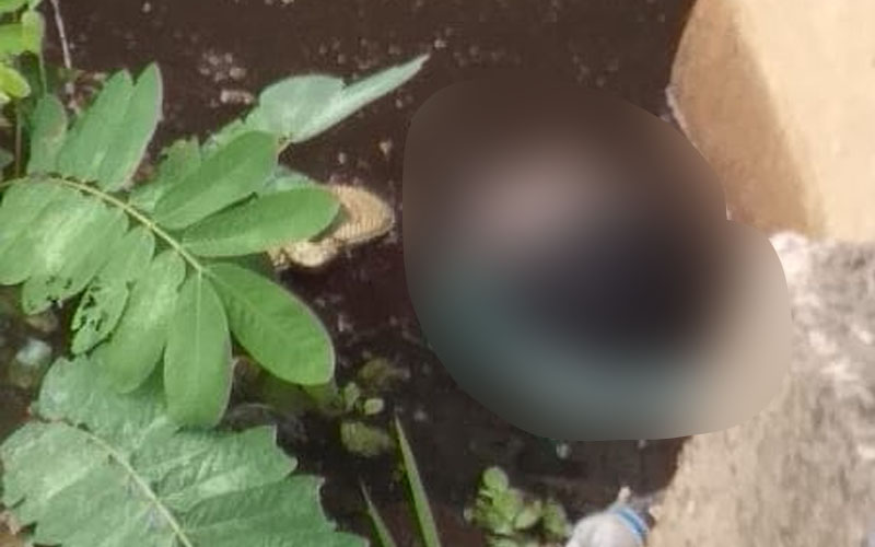 Corpo de homem é encontrado boiando em igarapé de Manaus