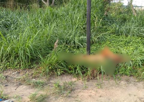 Enrolado em lençol, corpo de jovem é encontrado com 4 tiros às margens de rua em Manaus