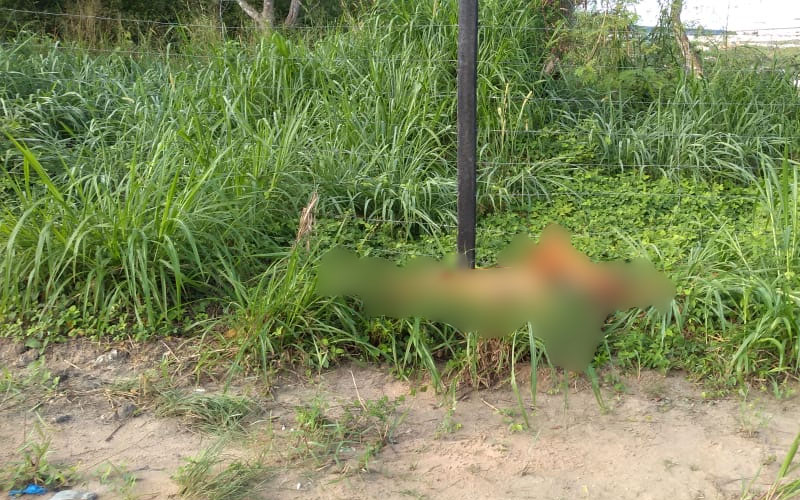 Enrolado em lençol, corpo de jovem é encontrado com 4 tiros às margens de rua em Manaus