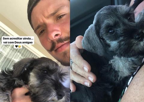 Ex-namorado de Anitta lamenta morte de cachorrinho da cantora