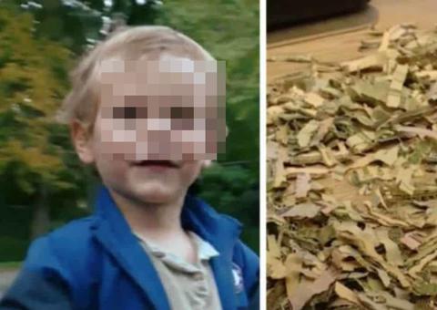 Bebê de 2 anos destrói R$ 4 mil da reserva dos pais 