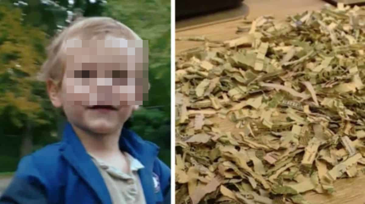 Bebê de 2 anos destrói R$ 4 mil da reserva dos pais 