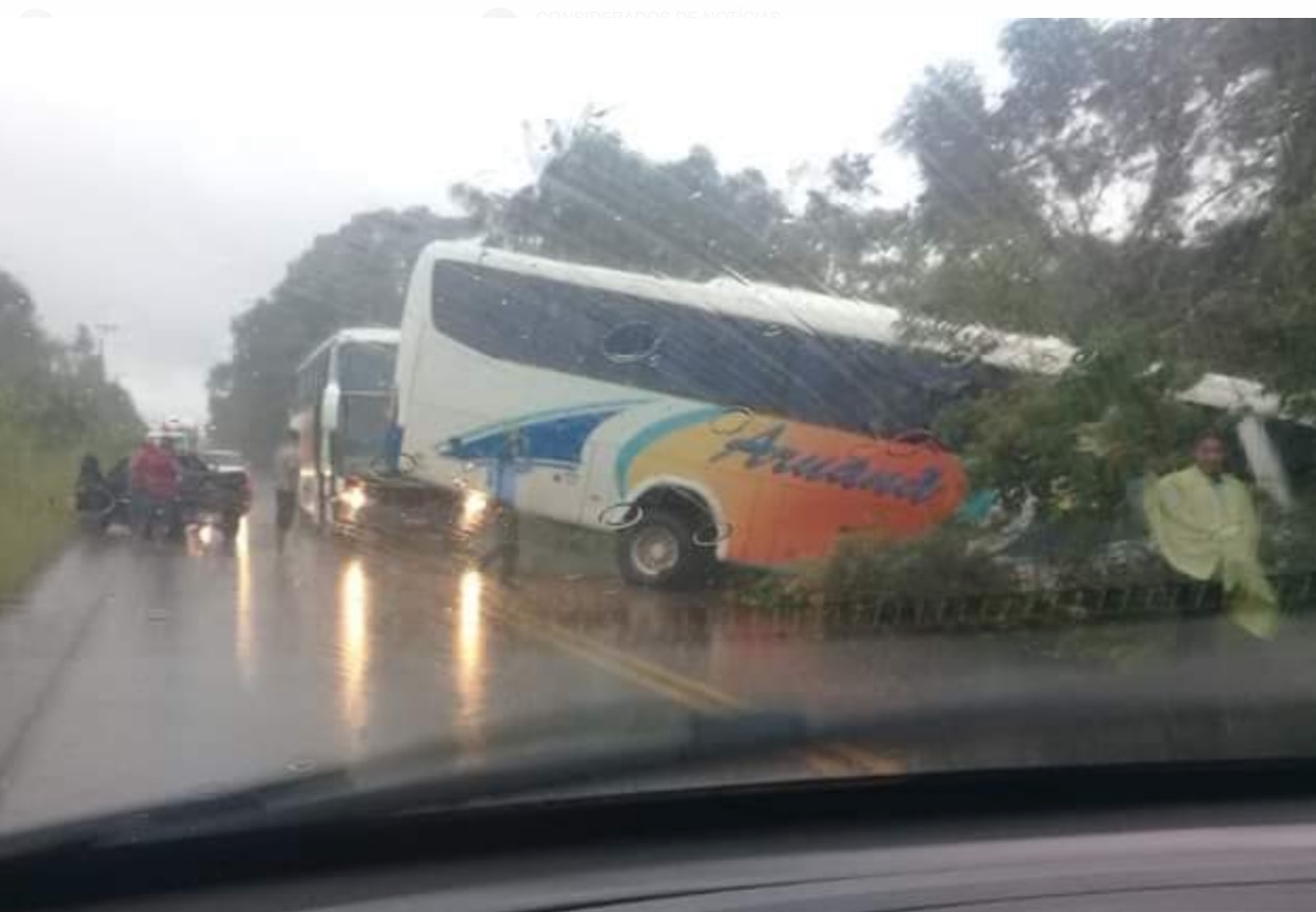Passageiros ficam em pânico após ônibus bater em carro durante grave acidente na AM-010