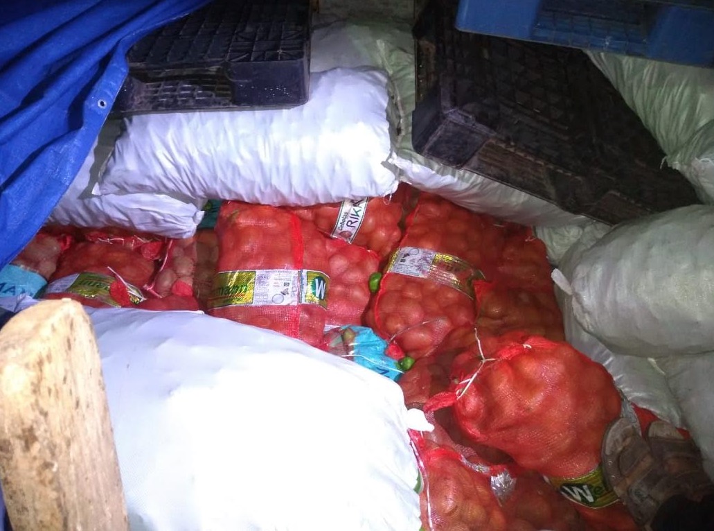 Mais de 1,5 tonelada de manga é apreendida antes de entrar no Amazonas 