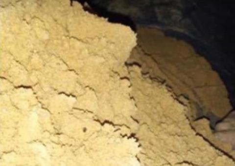 Homem cava túnel para vigiar ex e quase morre ao ficar preso na armadilha