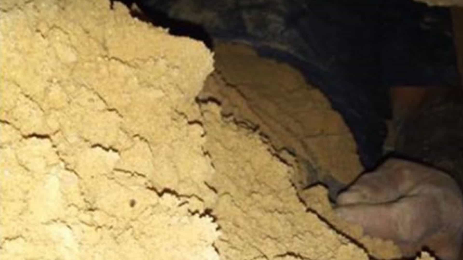 Homem cava túnel para vigiar ex e quase morre ao ficar preso na armadilha