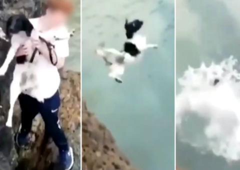 Menino grava vídeo arremessando cachorro de penhasco 