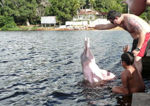 TCE reprova contas de gestores no Amazonas