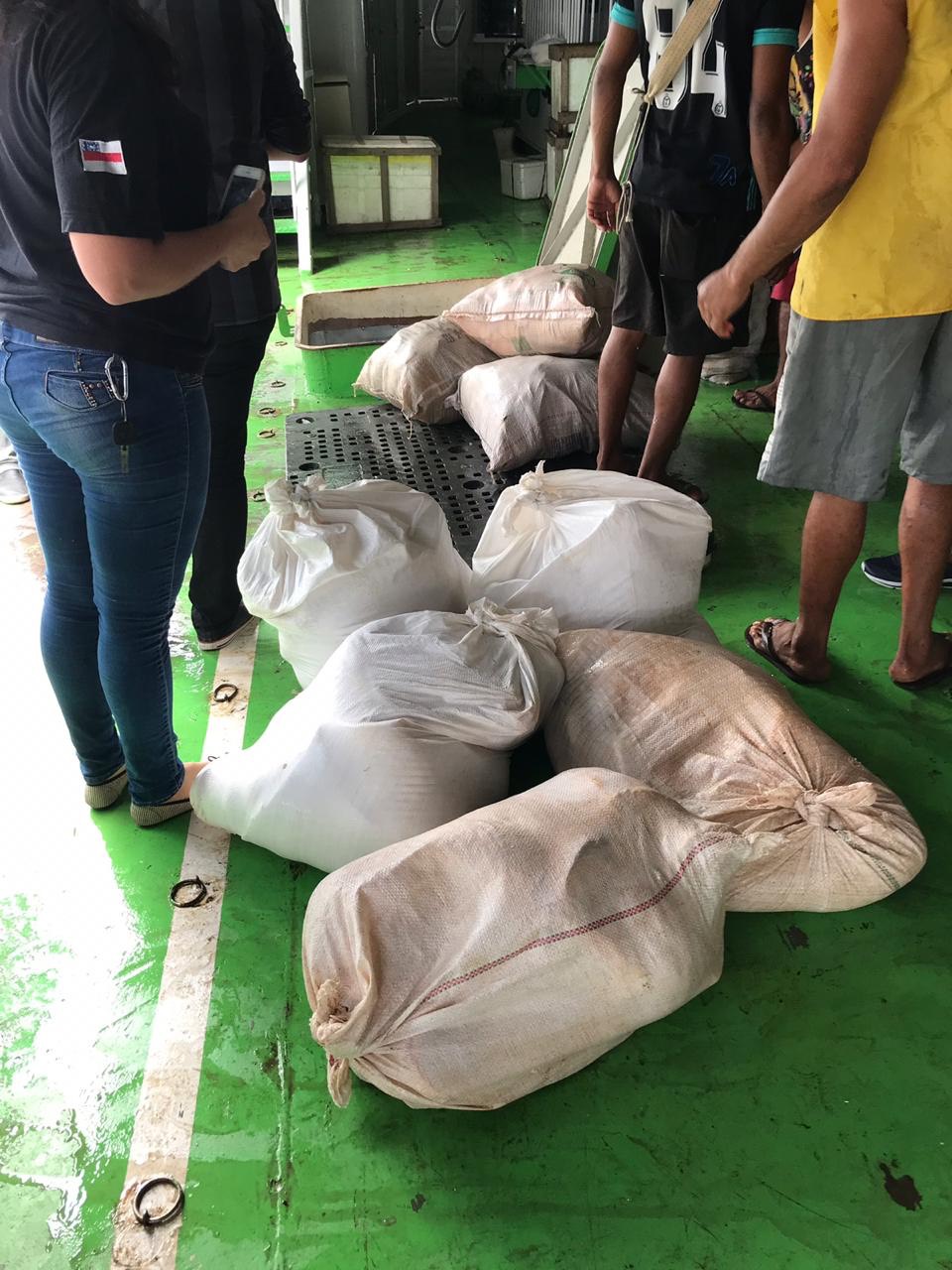 Batalhão Ambiental bate recorde e apreende 12,5 toneladas de pescado em quatro meses