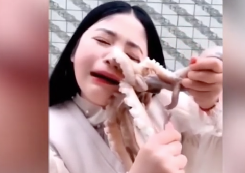 Vídeo: Mulher é atacada por polvo ao tentar comer o animal ao vivo 