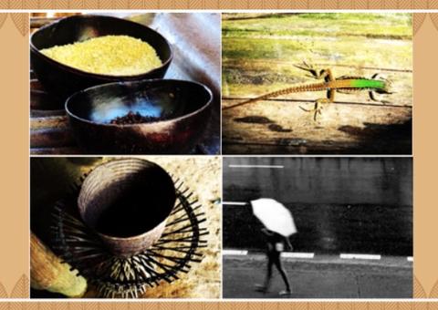 Centro de Memória do TRT11 inaugura exposição fotográfica 'Fragmentos Amazônicos'