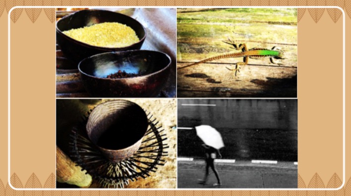 Centro de Memória do TRT11 inaugura exposição fotográfica 'Fragmentos Amazônicos'